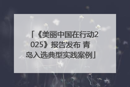 《美丽中国在行动2025》报告发布 青岛入选典型实践案例