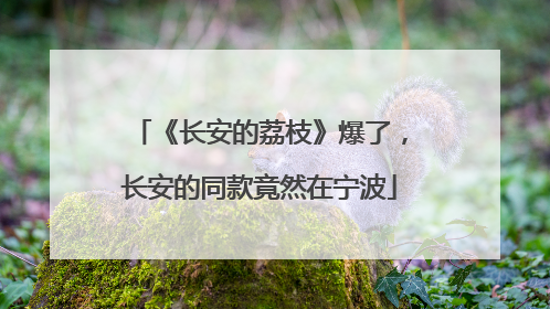 《长安的荔枝》爆了，长安的同款竟然在宁波