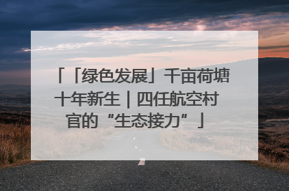 「绿色发展」千亩荷塘 十年新生｜四任航空村官的“生态接力”