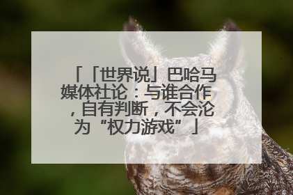 「世界说」巴哈马媒体社论：与谁合作，自有判断，不会沦为“权力游戏”
