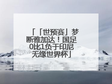 「世预赛」梦断雅加达！国足0比1负于印尼无缘世界杯