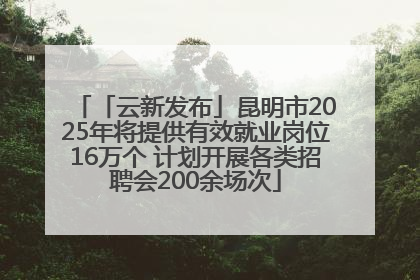 「云新发布」昆明市2025年将提供有效就业岗位16万个 计划开展各类招聘会200余场次