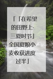 「在希望的田野上·三夏时节」全国夏粮小麦收获进度过半
