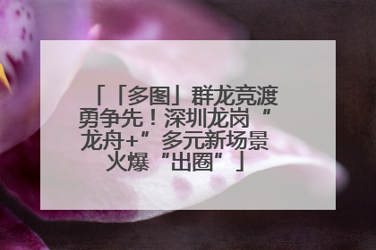 「多图」群龙竞渡勇争先！深圳龙岗“龙舟+”多元新场景火爆“出圈”