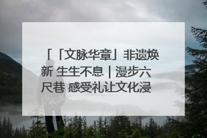 「文脉华章」非遗焕新 生生不息｜漫步六尺巷 感受礼让文化浸润的“巷”往生活