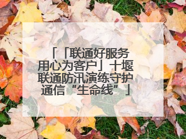 「联通好服务 用心为客户」十堰联通防汛演练守护通信“生命线”