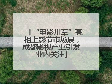 “电影川军”亮相上影节市场展，成都影视产业引发业内关注