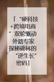 “硬科技+跨境电商”双轮驱动 外籍专家探秘碑林的“逆生长”密码