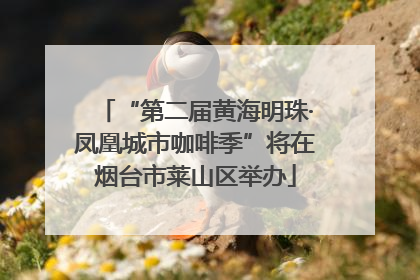 “第二届黄海明珠·凤凰城市咖啡季”将在烟台市莱山区举办
