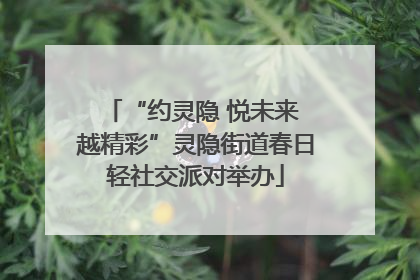 “约灵隐 悦未来 越精彩”灵隐街道春日轻社交派对举办
