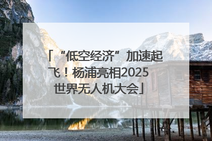 “低空经济”加速起飞！杨浦亮相2025世界无人机大会