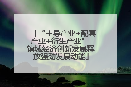 “主导产业+配套产业+衍生产业” 镇域经济创新发展释放强劲发展动能