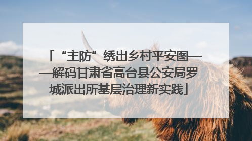 “主防”绣出乡村平安图——解码甘肃省高台县公安局罗城派出所基层治理新实践
