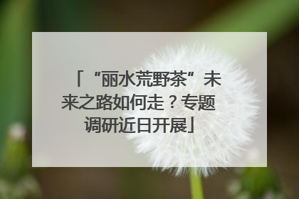 “丽水荒野茶”未来之路如何走？专题调研近日开展