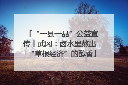 “一县一品”公益宣传丨武冈：卤水里熬出“草根经济”的醇香