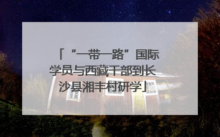 “一带一路”国际学员与西藏干部到长沙县湘丰村研学