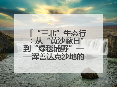 “三北”生态行：从“黄沙蔽日”到“绿毯铺野”——浑善达克沙地的“绿色重生”