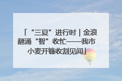 “三夏”进行时｜金浪翻涌“智”收忙——我市小麦开镰收割见闻