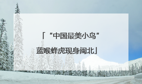 “中国最美小鸟”蓝喉蜂虎现身闽北