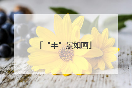 “丰”景如画