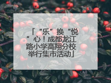 “乐”换“悦”心！成都龙江路小学高翔分校举行集市活动