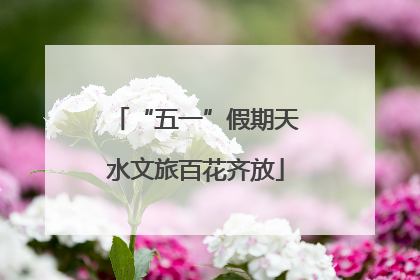 “五一”假期天水文旅百花齐放