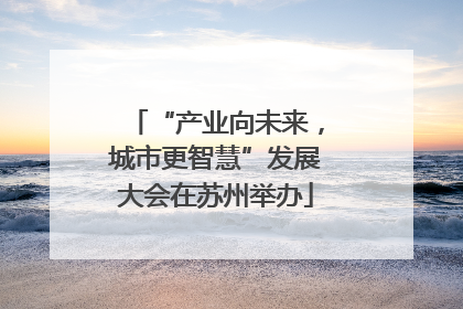“产业向未来，城市更智慧”发展大会在苏州举办