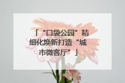 “口袋公园”精细化焕新打造“城市微客厅”