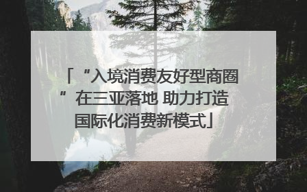 “入境消费友好型商圈”在三亚落地 助力打造国际化消费新模式