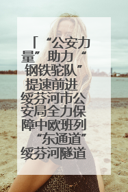 “公安力量”助力“钢铁驼队”提速前进 绥芬河市公安局全力保障中欧班列“东通道”绥芬河隧道贯通