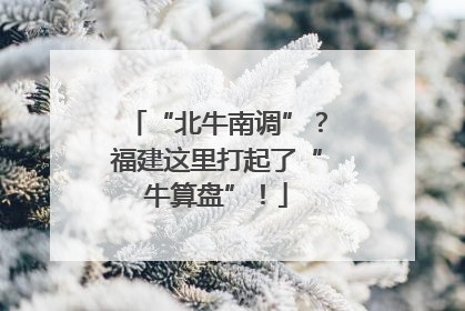 “北牛南调”？福建这里打起了“牛算盘”！