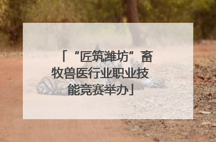 “匠筑潍坊”畜牧兽医行业职业技能竞赛举办