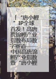 “唐小鲤”IP全球首发！高唐携锦鲤产业指数布局数字赛道——中国高唐锦鲤产业指数暨“唐小鲤”IP全球首发仪式在杭州举行