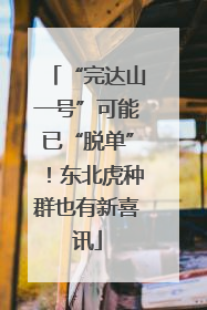 “完达山一号”可能已“脱单”！东北虎种群也有新喜讯