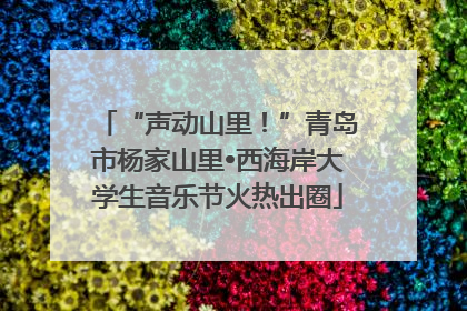 “声动山里！”青岛市杨家山里•西海岸大学生音乐节火热出圈