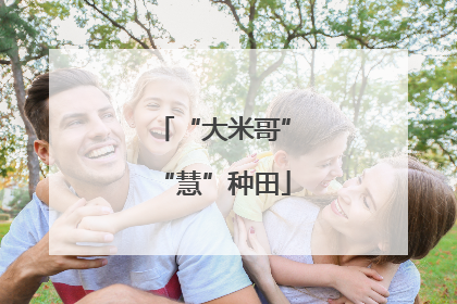 “大米哥”“慧”种田