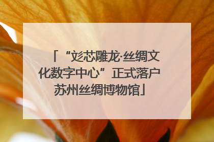 “彣芯雕龙·丝绸文化数字中心”正式落户苏州丝绸博物馆