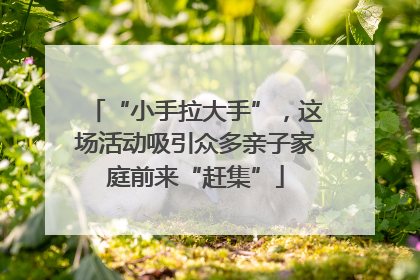 “小手拉大手”，这场活动吸引众多亲子家庭前来“赶集”