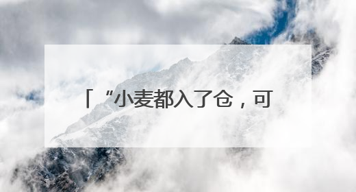 “小麦都入了仓，可以睡个安稳觉了”
