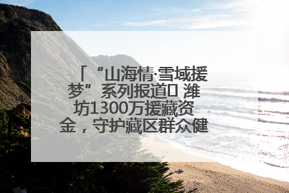 “山海情·雪域援梦”系列报道⑪ 潍坊1300万援藏资金，守护藏区群众健康“最后一公里”