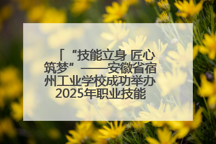 “技能立身 匠心筑梦”——安徽省宿州工业学校成功举办2025年职业技能活动周各项活动