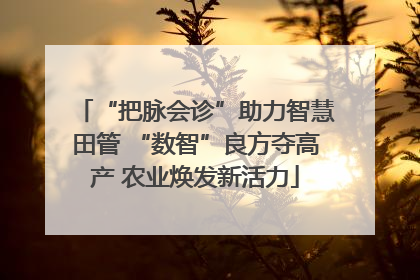 “把脉会诊”助力智慧田管 “数智”良方夺高产 农业焕发新活力