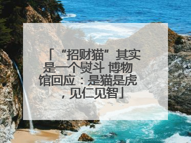 “招财猫”其实是一个熨斗 博物馆回应：是猫是虎，见仁见智