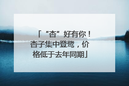 “杏”好有你！杏子集中登鹭，价格低于去年同期