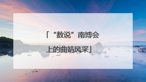 “数说”南博会上的曲靖风采