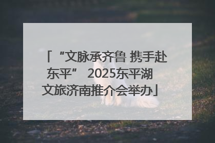 “文脉承齐鲁 携手赴东平” 2025东平湖文旅济南推介会举办