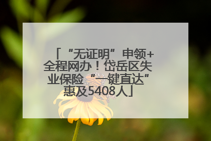 “无证明”申领+全程网办！岱岳区失业保险“一键直达”惠及5408人
