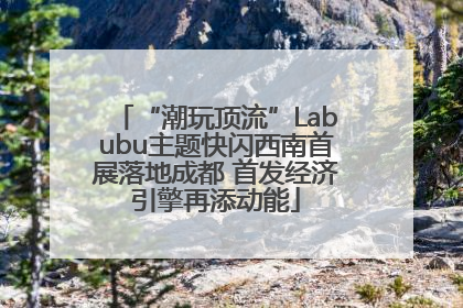 “潮玩顶流”Labubu主题快闪西南首展落地成都 首发经济引擎再添动能
