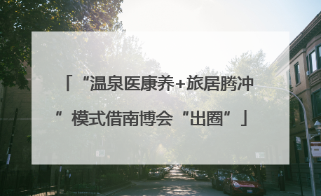 “温泉医康养+旅居腾冲”模式借南博会“出圈”