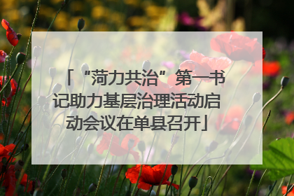 “菏力共治”第一书记助力基层治理活动启动会议在单县召开